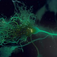 Glowing Neurone synapse network 3D animation.