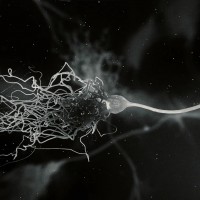 Microscopic Neurone synapse network 3D animation.
