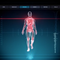 Blue Futuristic Interface of Full Body Scan with Human Anatomy of Muscles, Bones and Organs