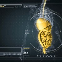 Digestive Anatomy on Virtual Futuristic Wireframe Orange Interface