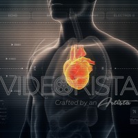 Anatomy of Human Male Heart on Futuristic Medical Interface dashboard. Seamless Loop.Animation.