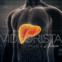 Anatomy of Human Male Liver on Futuristic Medical Interface dashboard. Seamless Loop.Animation.